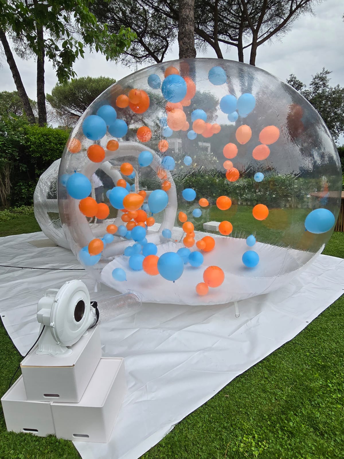 Bubble House - immagine 7