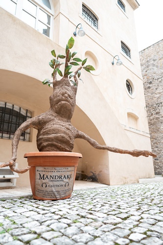 Elementi evento Harry Potter a noleggio - immagine 3