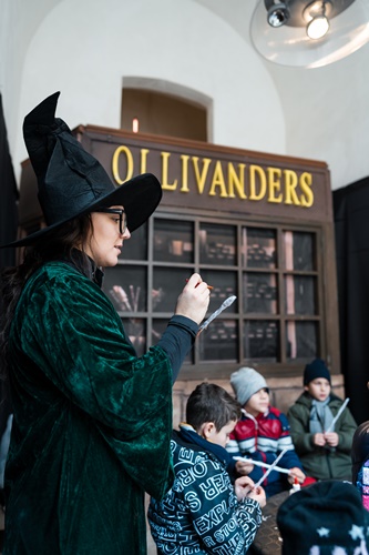 Elementi evento Harry Potter a noleggio - immagine 2