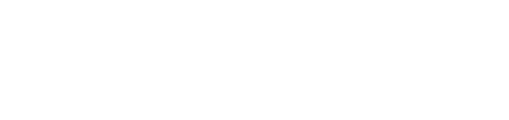 Aurea Experience Noleggio